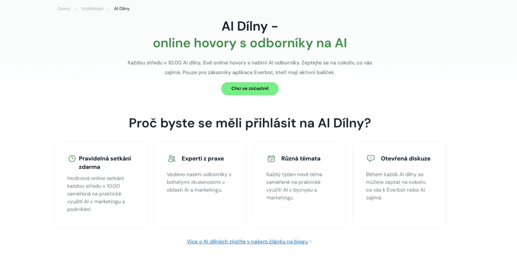 ai dilny everbot
